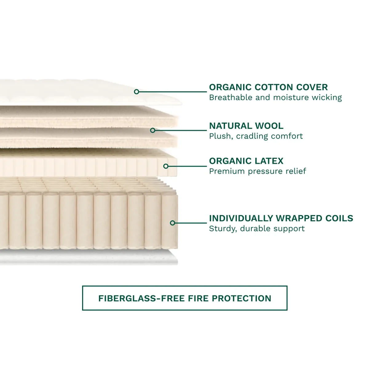 Birch Natural Mattress - Image 3